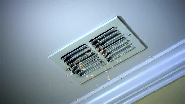 Best Best Air Duct Cleaning Company  in Tempe, AZ