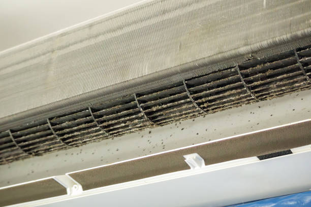Best Ductwork Cleaning Services  in Tempe, AZ